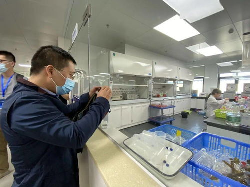 信息技術(shù)咨詢(xún)服務(wù)為‘六穩(wěn)六保’提供強(qiáng)支撐，中國(guó)—東盟檢驗(yàn)檢測(cè)認(rèn)證高技術(shù)服務(wù)集聚區(qū)賦能企業(yè)騰飛